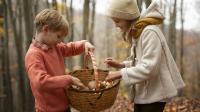 Zwei Kinder betrachten ihre gesammelten Pilze in einem Korb