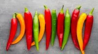 Foto bunter Paprika