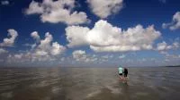 Foto vom Watt, mit blauem Himmel