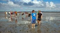 Foto einer Kindergruppe im Watt