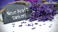 Sinnspruch auf Stein mit Blumen