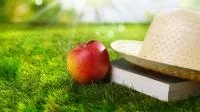 Foto von Apfel, Strohhut und Buch