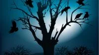 Ein skelettierter Baum mit Krähen in der Nacht