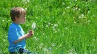 Foto eines kleinen Jungen mit Pusteblume im Grünen