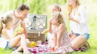 Foto einer Familie beim Picknick im Grünen