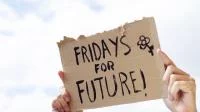 Pappschild mit Aufschrift "Fridays for Future"
