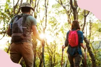 Zwei Personen wandern zusammen durch den sonnigen Wald