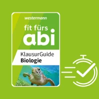 KlausurGuide-Logo auf grünem Hintergrund mit einer illustrierten Stoppuhr daneben