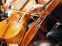 Fotografie zweier Cellos