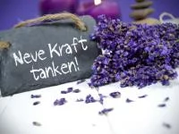 Sinnspruch auf Stein mit Blumen