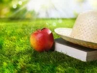 Foto von Apfel, Strohhut und Buch