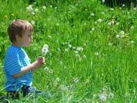 Foto eines kleinen Jungen mit Pusteblume im Grünen
