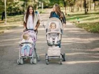 Foto von Frauen mit Kinderwagen im Park