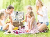 Foto einer Familie beim Picknick im Grünen