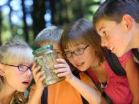 Kinder betrachten einen Käfer im Glas